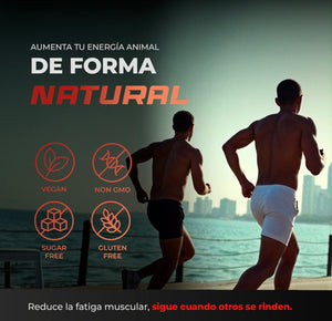 Termogénico | L-Carnitina, CLA, Guaraná, Té Verde, Magnesio, Zinc, Jengibre, Toronja, Beta Alanina | Energía Diaria, Apoyo Metabólico, Entrenamiento, Quemador De Grasa | DAY BRN BPN PRO 60 Cápsulas