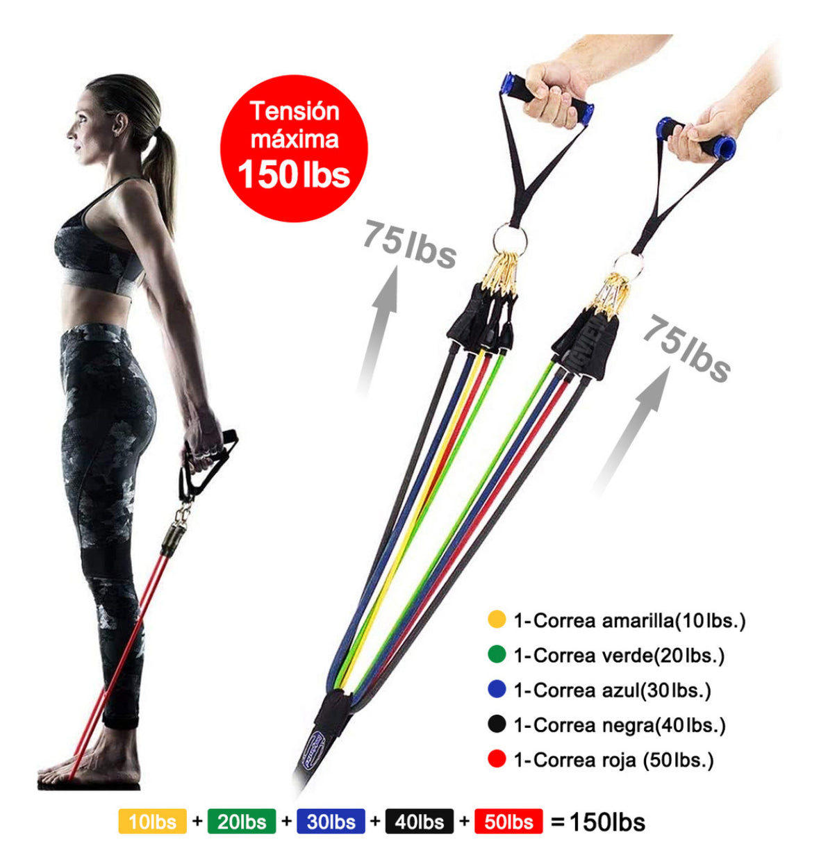 150lbs Kit De Bandas De Resistencia Ligas Para Ejercicio 12pzs Ejercicios En Casa Bigview TPE-R150