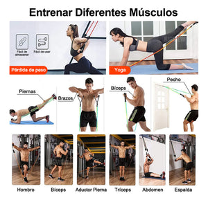 150lbs Kit De Bandas De Resistencia Ligas Para Ejercicio 12pzs Ejercicios En Casa Bigview TPE-R150