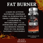 Suplemento Quemador De Grasa Corporal Black Pegasus Fat Burner 90 Cápsulas