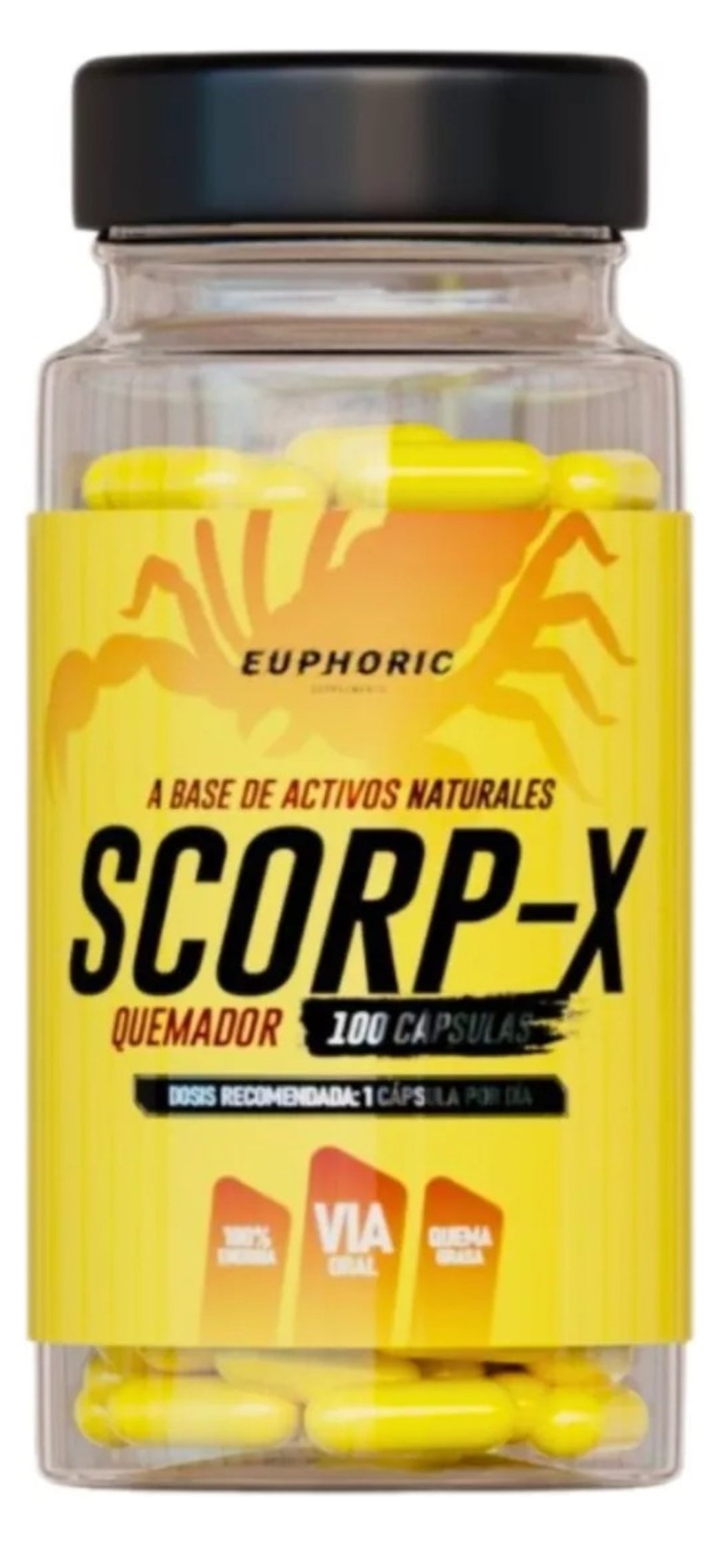 Termogenico Scorp-x Euphoric Quemador De Grasa 100 Cápsulas