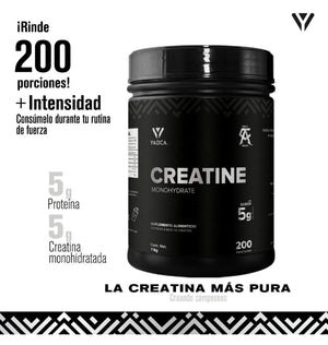 Creatina Monohidratada I Micronizada I Yaoca I 1 Kg I 200 Servicios I Sin Sabor I Alta Pureza