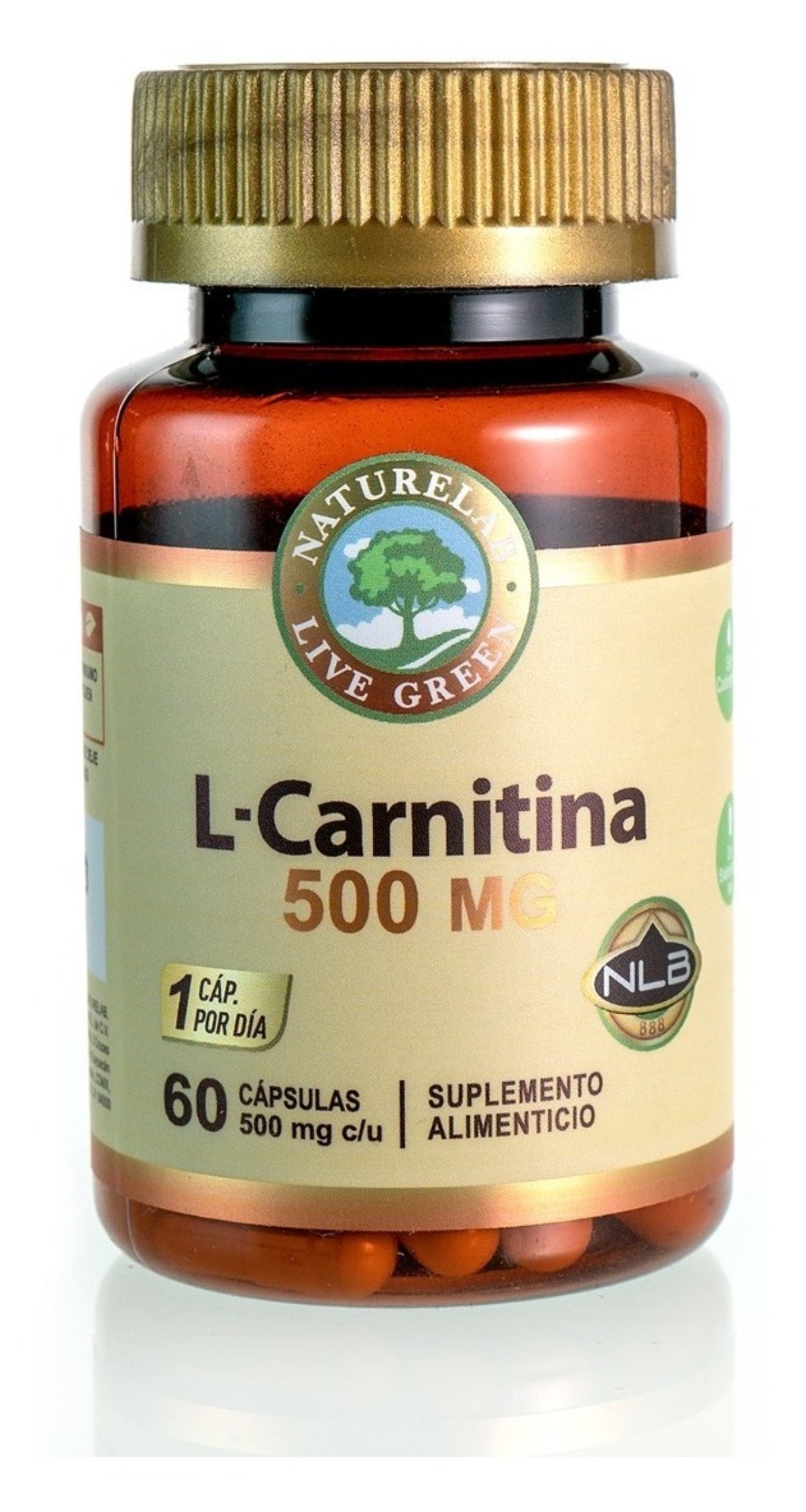 Naturelab L-carnitina 500mg 60caps Sfn