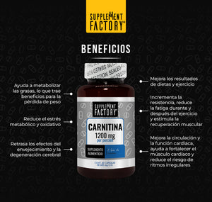 Carnitina 600 Mg, 60 Cápsulas, Calidad Premium Sabor Natural