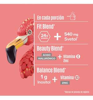 Birdman Proteína Vegetal Fitmingo 510g By Ale Rubio Sabor Vainilla